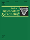 REVIEW OF PALAEOBOTANY AND PALYNOLOGY雜志封面